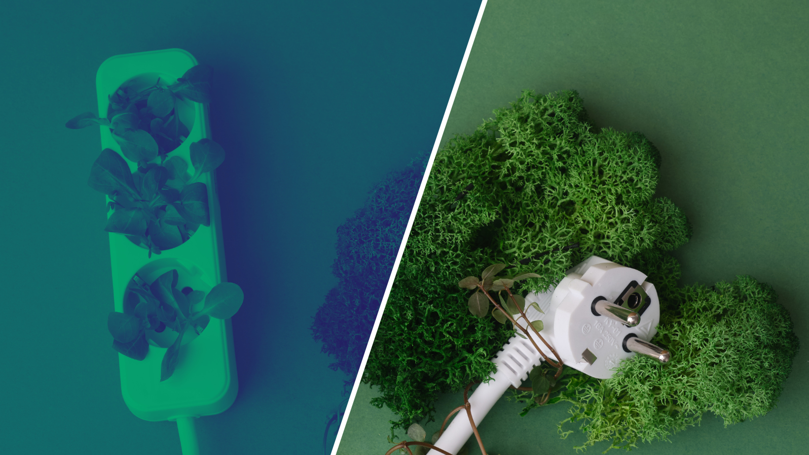 Plug and plug sockets on a green background overgrown with grass and greenery